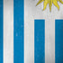 Uraguay Flag Distressed iPhone X Skin